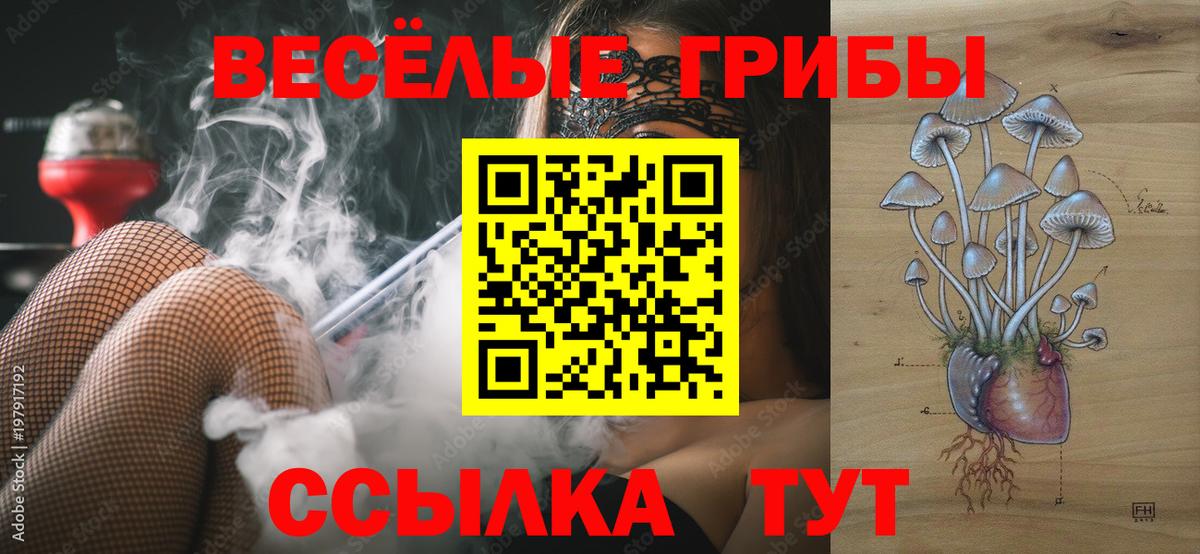 Галлюциногенные грибы прущие грибы Кохма